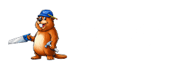 250x100_color_logo_white